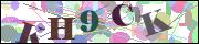 Captcha word