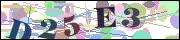 Captcha word