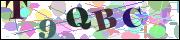 Captcha word