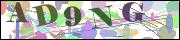 Captcha word