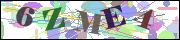 Captcha word