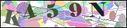 Captcha word