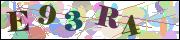 Captcha word