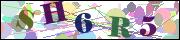 Captcha word