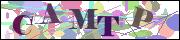 Captcha word