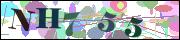 Captcha word