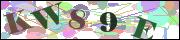 Captcha word