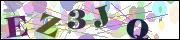 Captcha word