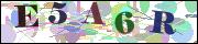 Captcha word
