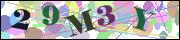 Captcha word
