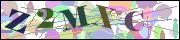 Captcha word