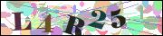 Captcha word