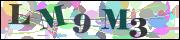 Captcha word
