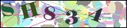 Captcha word