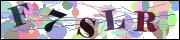 Captcha word