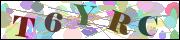 Captcha word