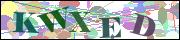 Captcha word