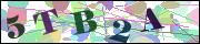 Captcha word