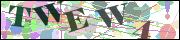 Captcha word
