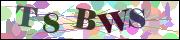 Captcha word
