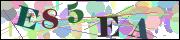 Captcha word