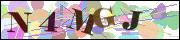 Captcha word