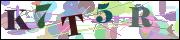 Captcha word