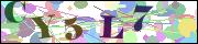 Captcha word