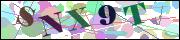 Captcha word