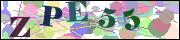 Captcha word