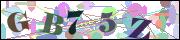 Captcha word