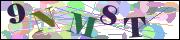 Captcha word