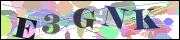 Captcha word