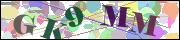 Captcha word