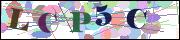 Captcha word