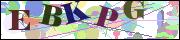 Captcha word