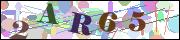 Captcha word