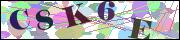Captcha word