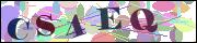 Captcha word
