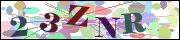 Captcha word