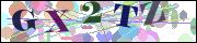 Captcha word
