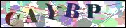 Captcha word