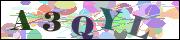 Captcha word