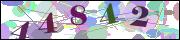 Captcha word