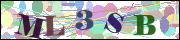 Captcha word
