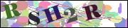 Captcha word