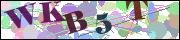 Captcha word