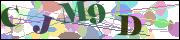Captcha word