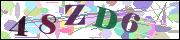 Captcha word