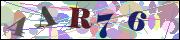 Captcha word
